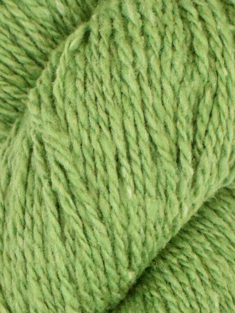 Queensland Kathmandu Aran 100 - Lichen (Color #54)