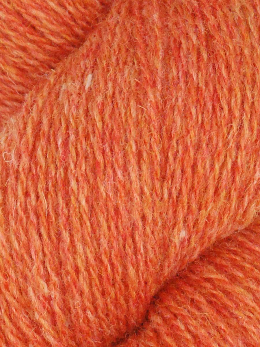 Queensland Shetland Lite - Ember (Color #1005)