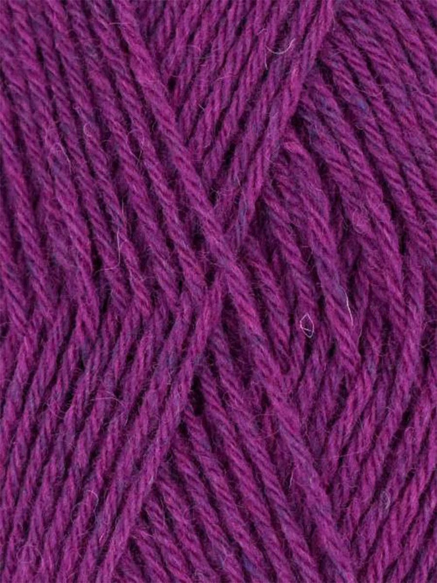 Queensland Walkabout - Boysenberry (Color #35)