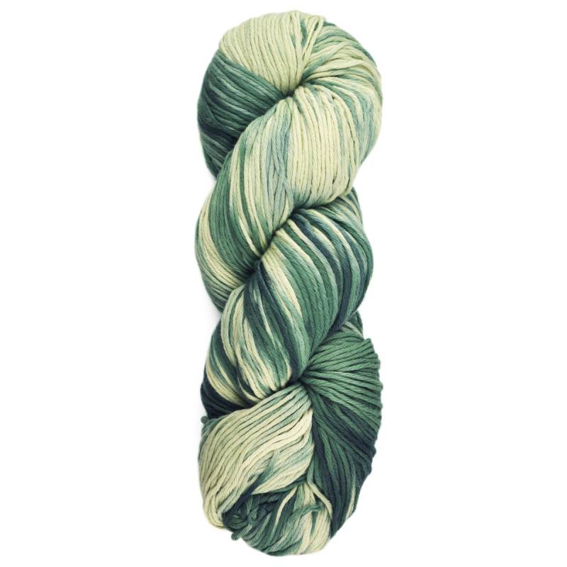 Araucania Yumbrel DK Hand-Painted - Valle Pisco (Color #12) - FULL BAG SALE (5 Skeins)