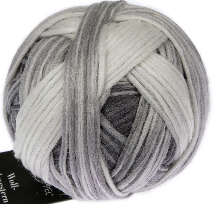 Woll-Schwestern (Wool-Sisters) By Schoppel - Edda (Color #2664)