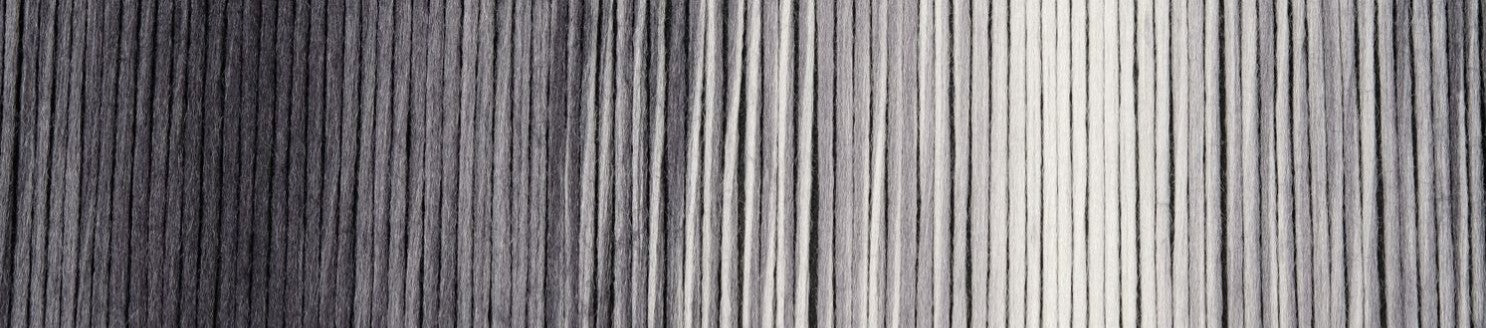 Woll-Schwestern (Wool-Sisters) By Schoppel - Edda (Color #2664)