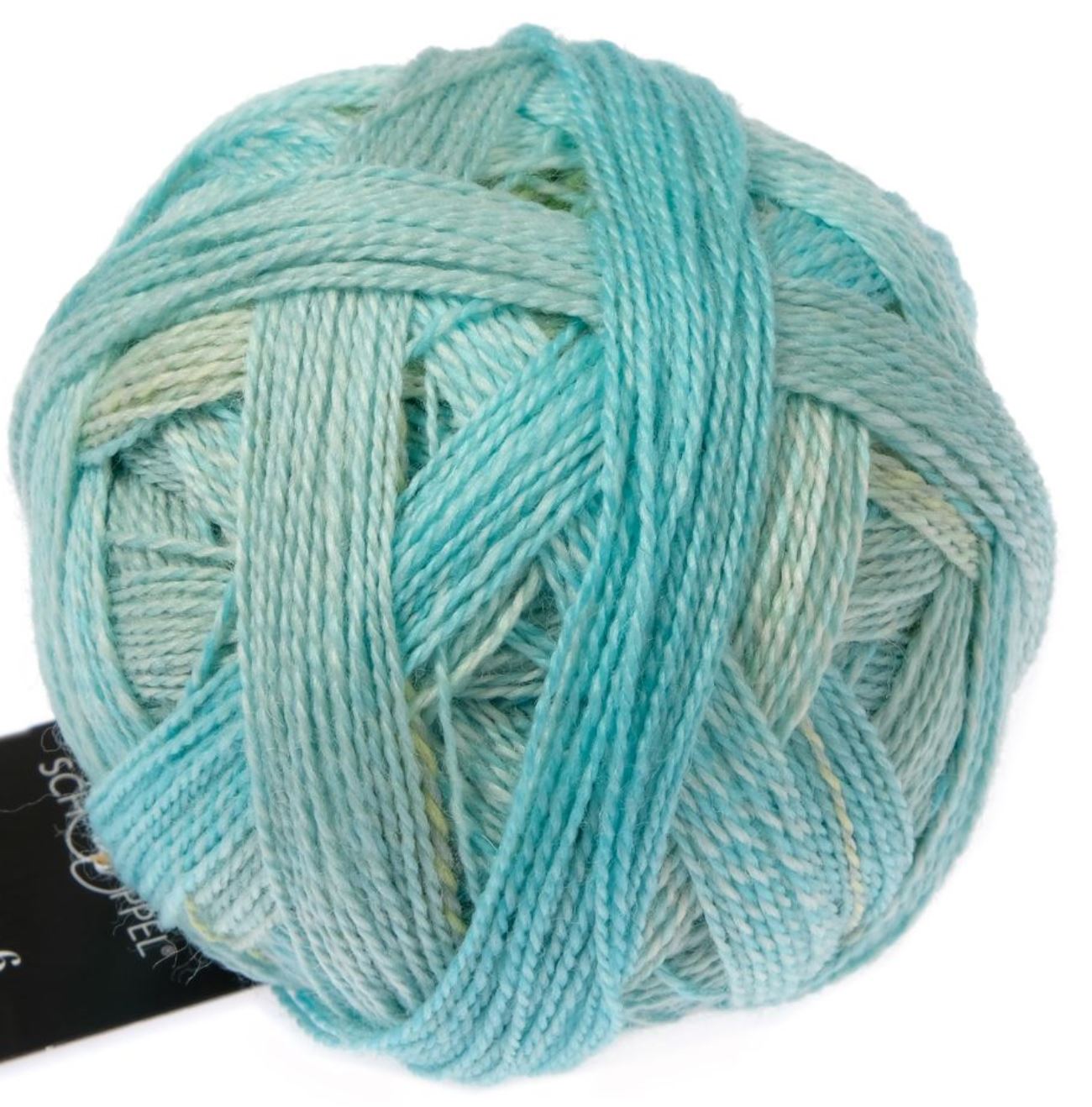 Edition 6 By Schoppel - Quiet Tones (Color #2598) - FULL BAG SALE (5 Skeins)