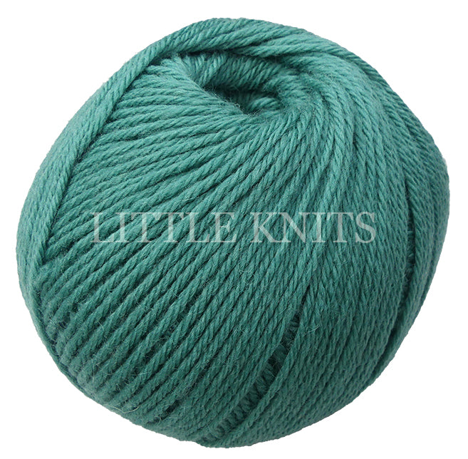 Ella Rae Superwash Classic - Limestone Green (Color #74)