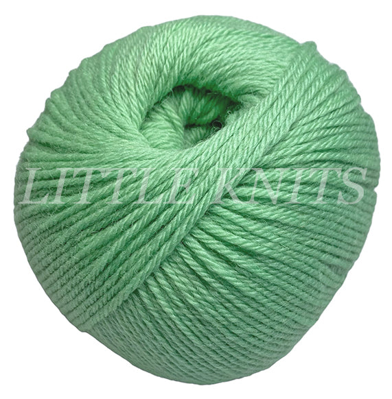 Ella Rae Superwash Classic - Light Green (Color #79)