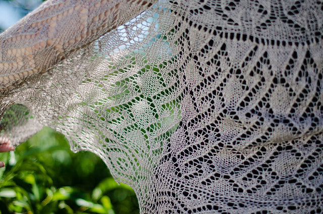 Evelina Shawl (PDF)