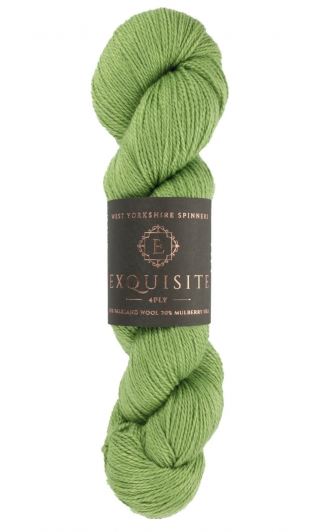 West Yorkshire Spinners Exquisite 4-Ply - Eden (Color #401)