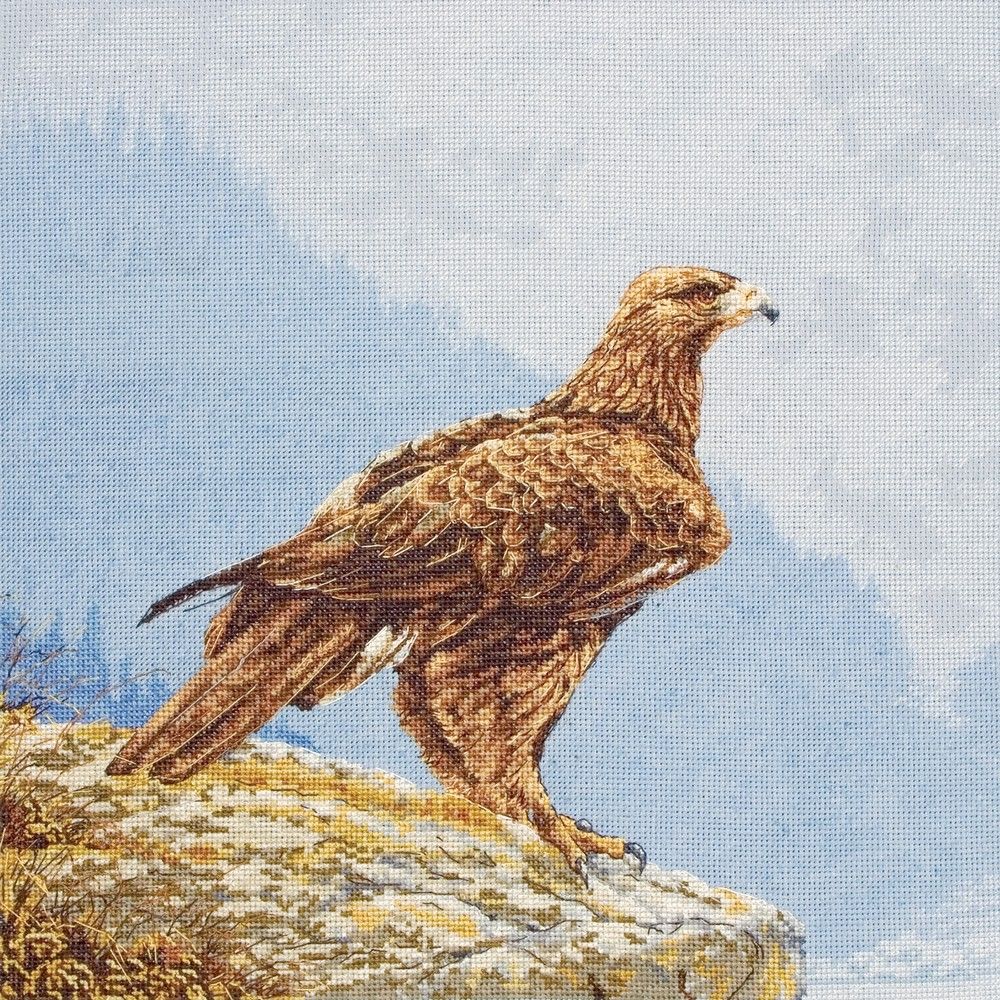 Anchor Maia Counted Cross Stitch Kit - Eye of the Eagle (5678000-01076)