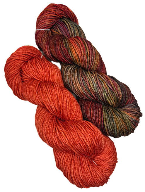 Malabrigo Rios One of a Kind - Fall Splendor (TWO SKEINS)