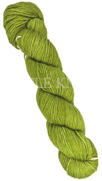 Malabrigo Caprino One of a Kind Colors - Fern Magic