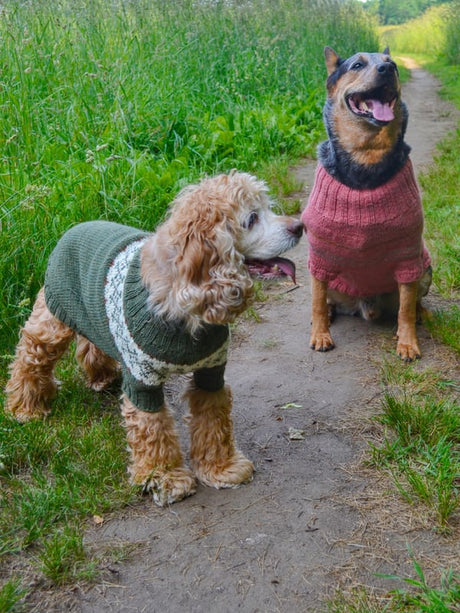 Berroco Ultra Wool Fetch Dog Cardigan Pattern FREE at Little Knits