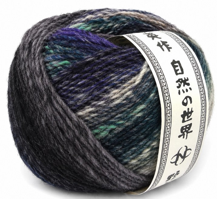 Noro Saiun Yarn - Fuyu (Color #13)