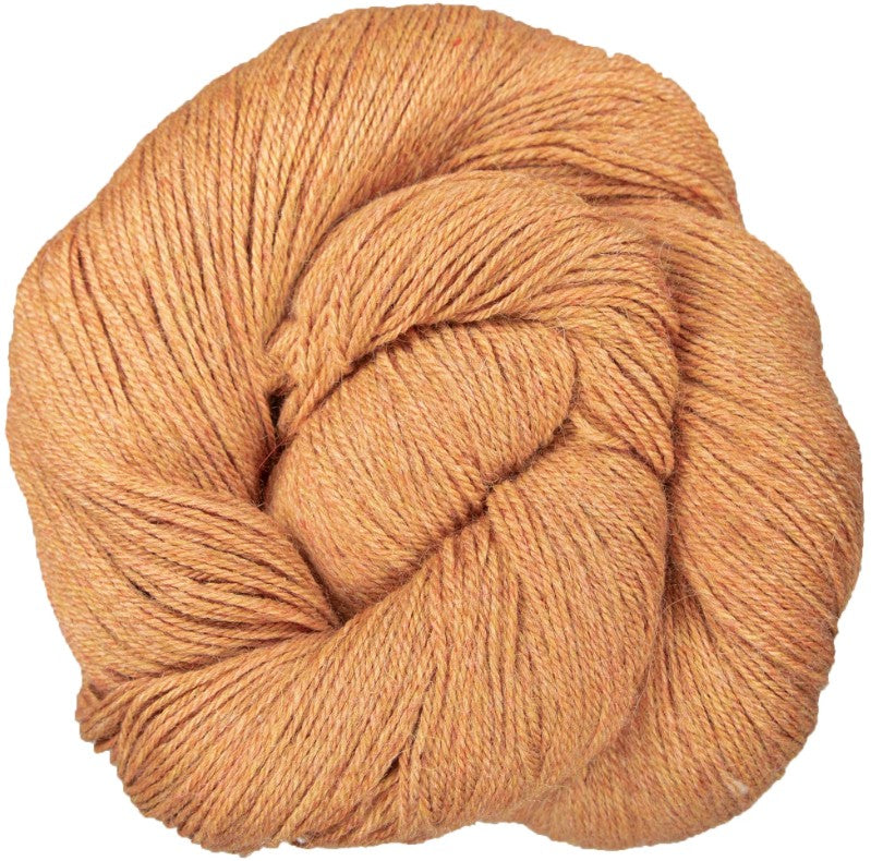 Yarn Citizen Harmony Fingering - Apricot
