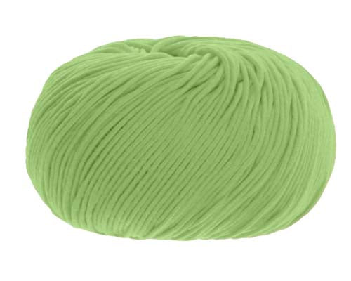 Trendsetter Yarns Jai - Pistachio (Color #30704)