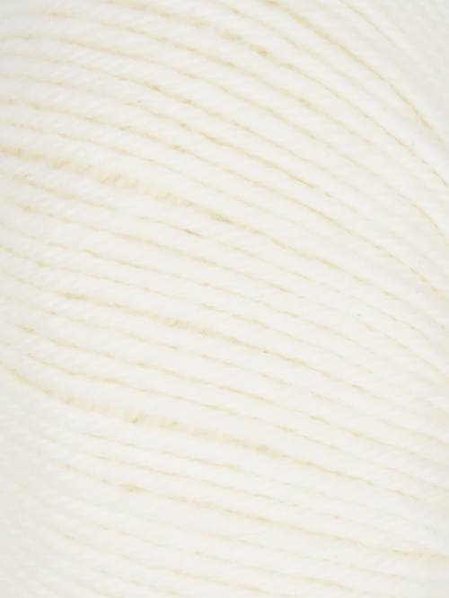 Jody Long Llama Mia - Paper (Color #001)