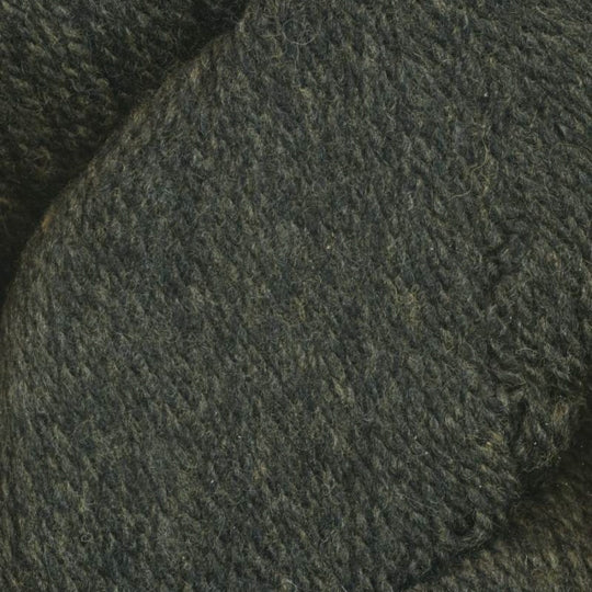 Juniper Moon Farm Patagonia Organic Merino - Seaweed (Color #108)