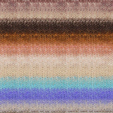 Noro Kureyon - Toride (Color #425)