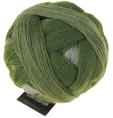 Zauberball Lace Ball - Lichen (Color #2260)