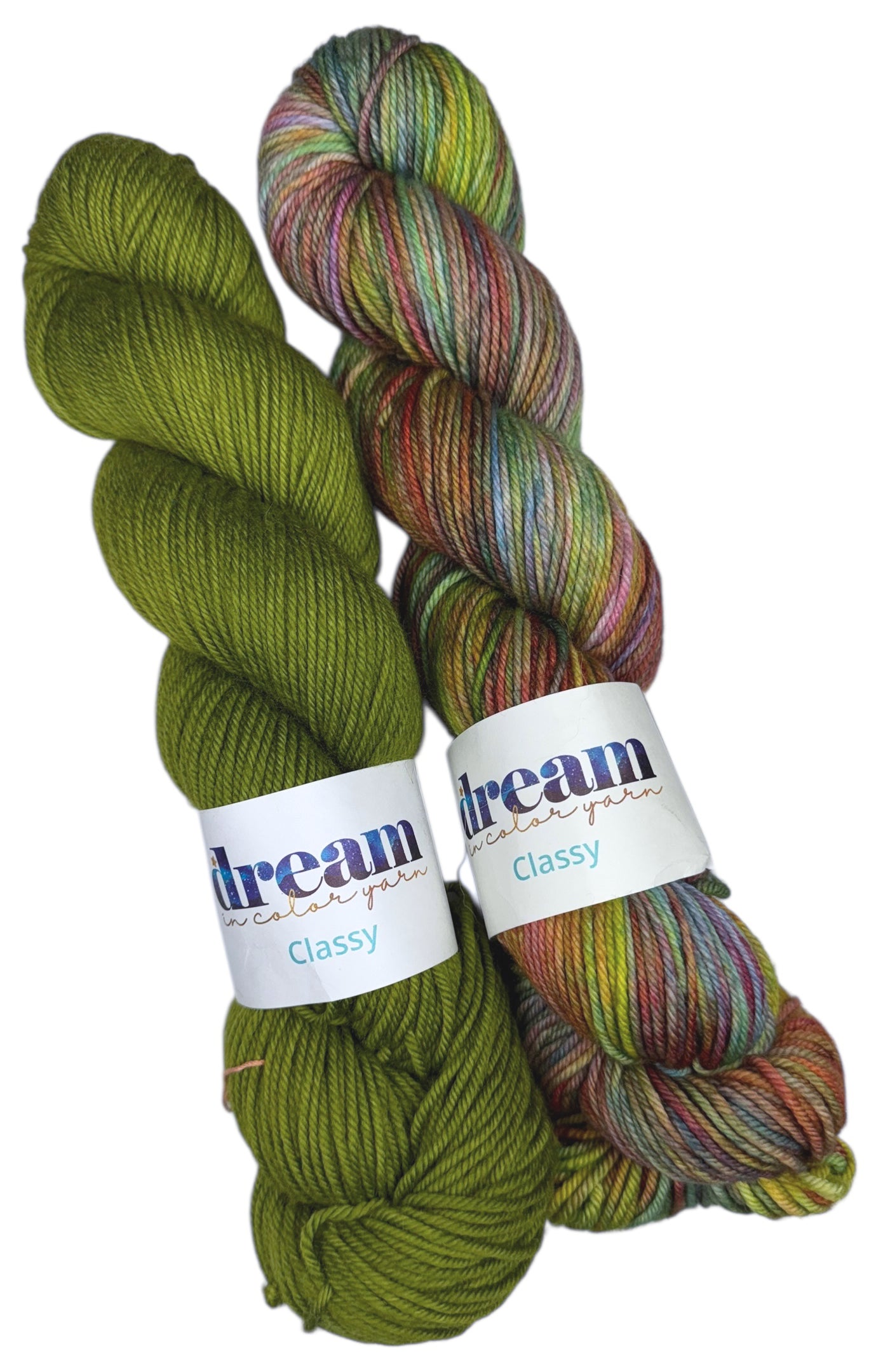 Dream in Color Classy - Lily Pond (2 SKEINS)
