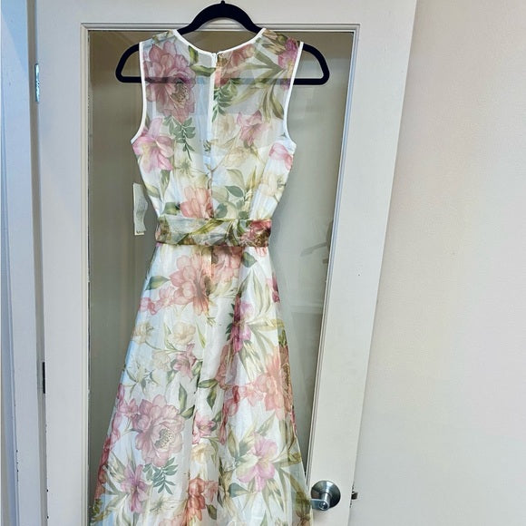 Eliza J Women's Gown Style Floral Organza Sleeveless Jewel Neck Dress, Size 6
