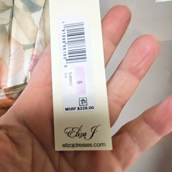 Eliza J Women's Gown Style Floral Organza Sleeveless Jewel Neck Dress, Size 6