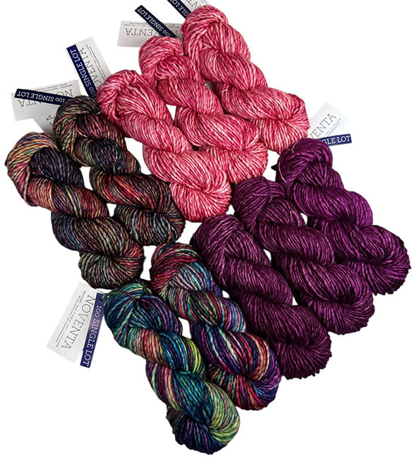 Malabrigo Noventa One of a Kind - Magical Garden (10 SKEINS)