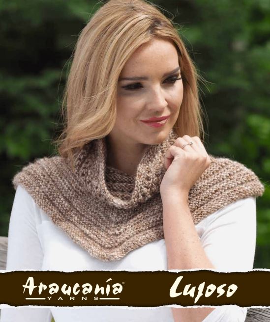 An Araucania Pattern - Naida (PDF)