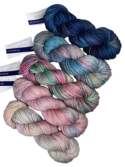 Malabrigo Vientos One of a Kind Color - Quintet (FIVE SKEINS)