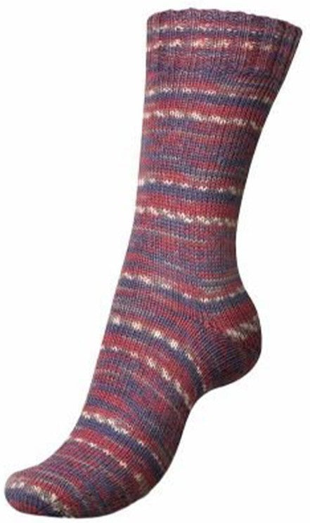Regia Winter Hues - Frosty Roses (Color #3780)