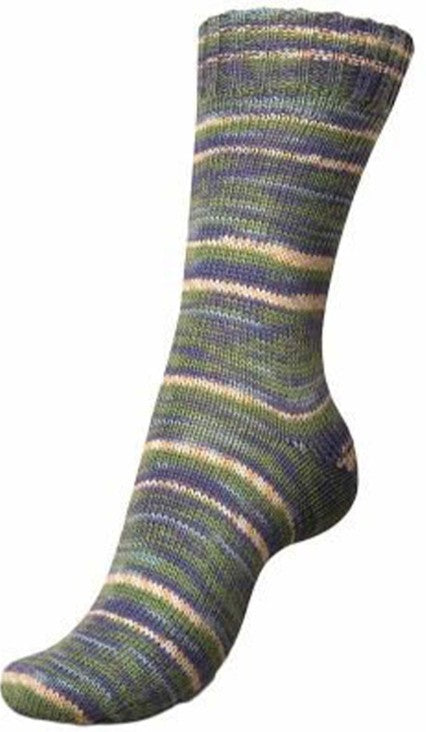 Regia Winter Hues - Winter Forest (Color #3781)