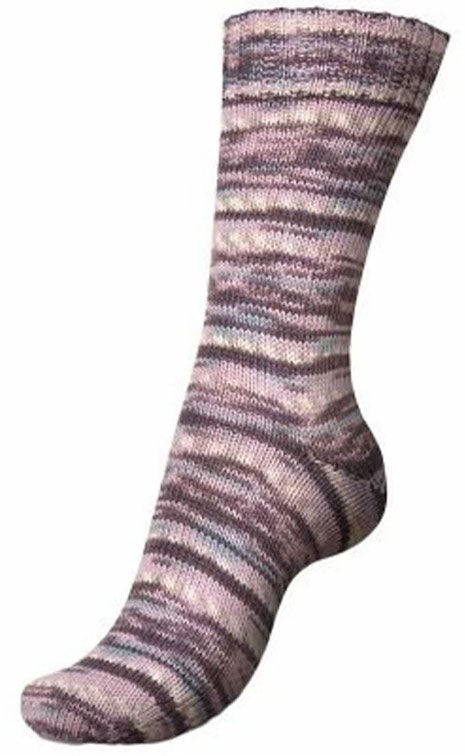 Regia Winter Hues - Winter at Lake (Color #3782)