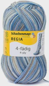 Regia 4-Ply Color - Beach Cabin (Color #5030)