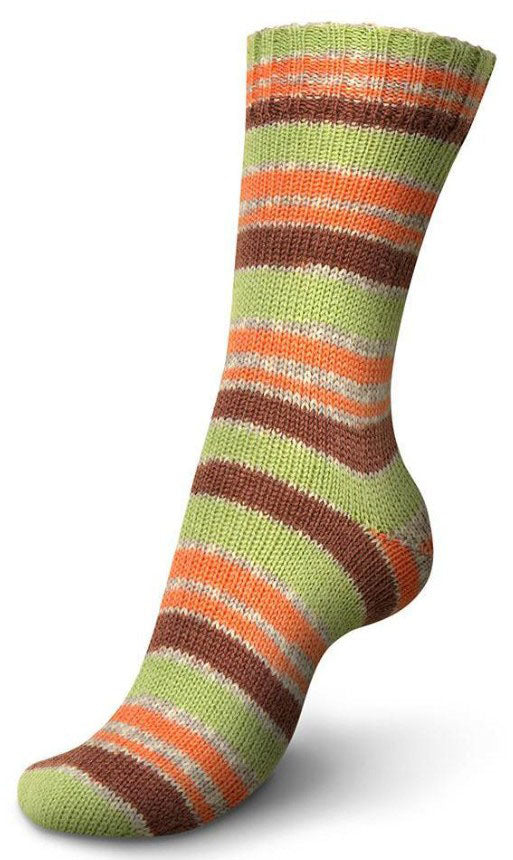 Regia 4-Ply - Harvest Candy (Color #1319) - FULL BAG SALE (5 Skeins)