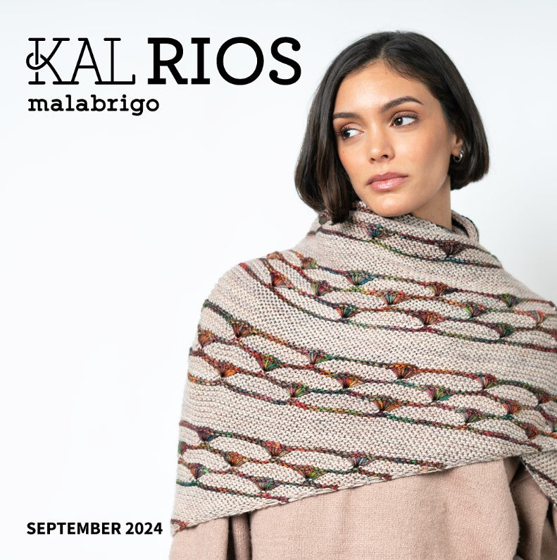 Malabrigo Rios Bag for Lehigh Shawl KAL - Timeless Elegance (6 One of a Kind Skeins) - FREE SHIPPING