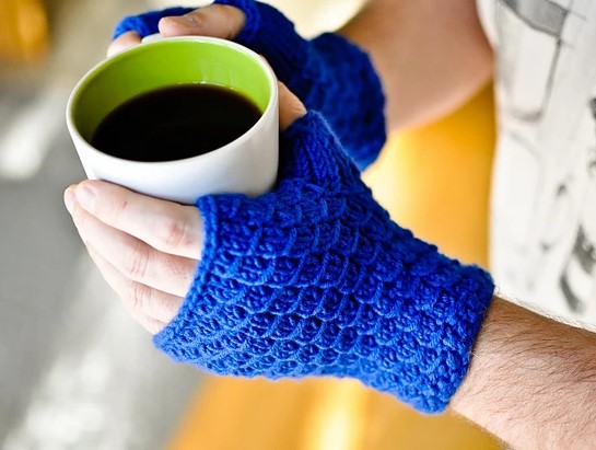 A Hikoo Pattern - Scale Mitts (PDF)