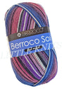 Berroco Sox - Flowerdale (Color #14109) on sale at 50% off at Little Knits