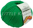 Cascade 220 Superwash - Christmas Green (Color #864)