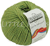 Cascade 220 Superwash - Celery (Color #905)