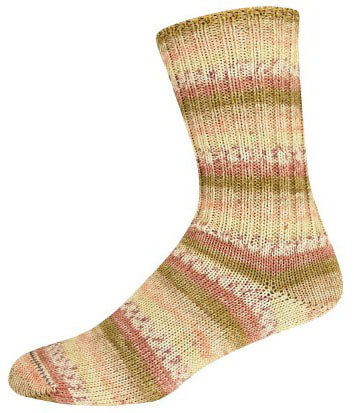 Supersocke Silk - Dawn in the Everglades (Color #3168)