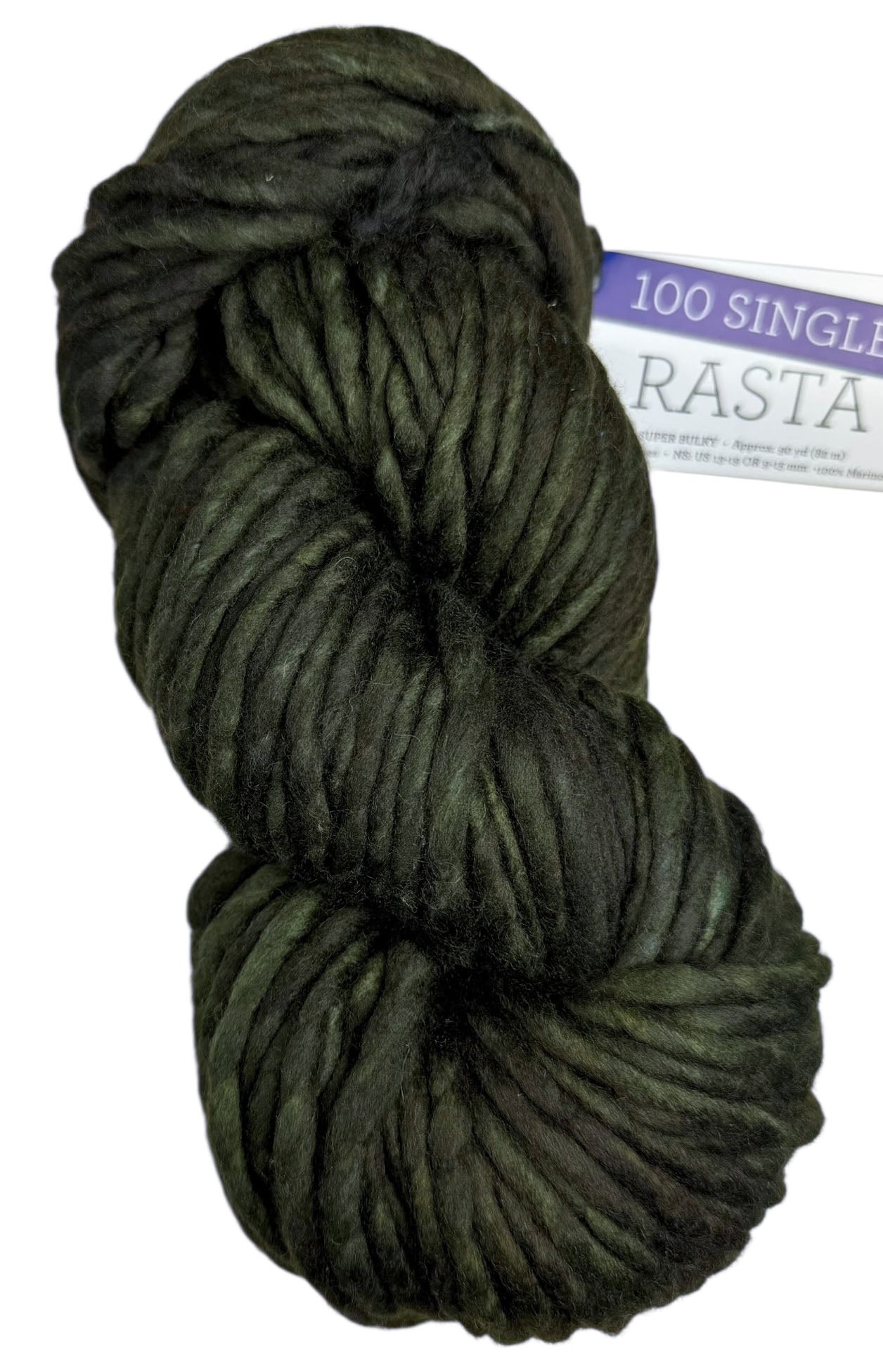 Malabrigo Rasta One of a Kind - Swamp Night