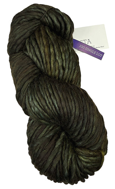 Malabrigo Rasta One of a Kind Colors - Swamp Night - Dye Lot C