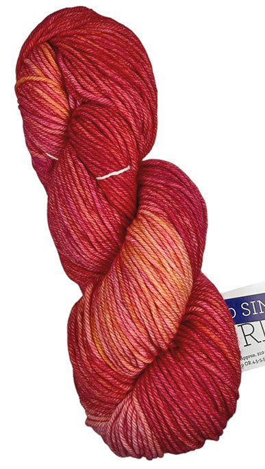 Malabrigo Rios One of a Kind - Sweet and Spicy