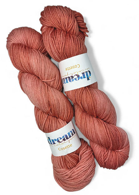 Dream in Color Cosette One of a Kind Color - Taos Hues (TWO SKEINS)