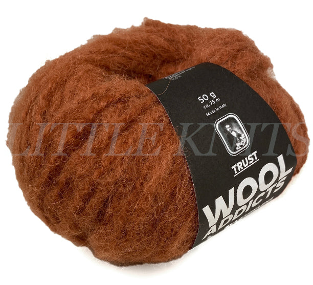 Wooladdicts Trust - Burnt Sienna (Color #15) - FULL BAG SALE (5 Skeins)