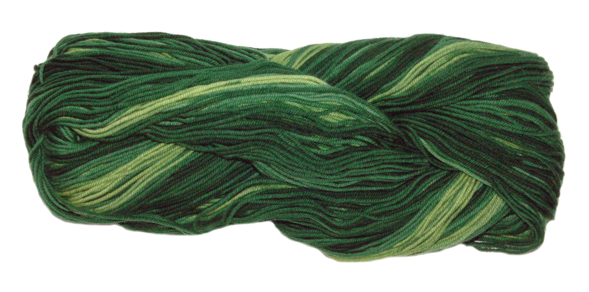 Zitron Unisono Multi Yarn - Rainforest (Color #1270)