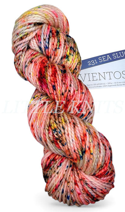 Malabrigo Vientos - Sea Slug