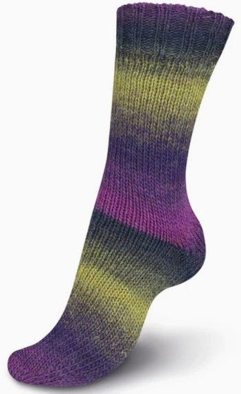 Regia Virtuoso - Midnight Orchard (Color #3070) - FULL BAG SALE (5 SKEINS)