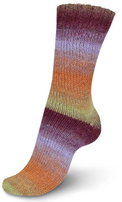 Regia Virtuoso - Autumn Alchemy (Color #3074) - TEN SKEIN BAG