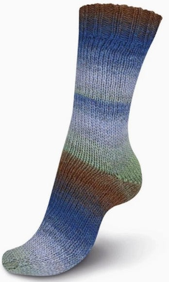 Regia Virtuoso - Oregon Coast (Color #3075) - TEN SKEIN BAG