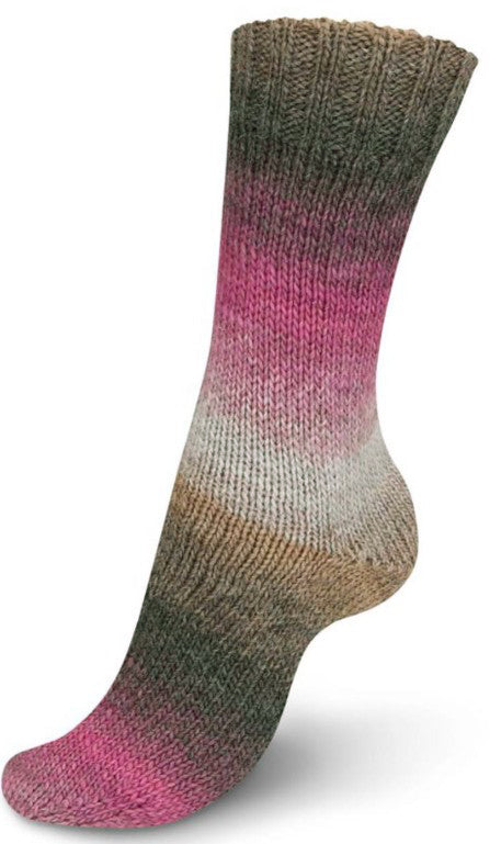 Regia Virtuoso - Bramble Rose (Color #3077) - 150 Gram Skeins